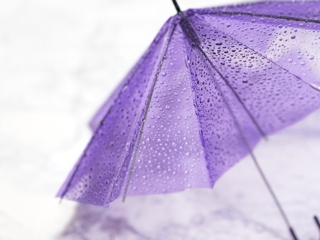 【かわいいビニール傘】雨の日が楽しくなる！ おしゃれビニ傘を大特集♪ – #CBK magazine【公式】